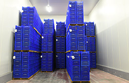 Makedonia Cold Storage S.A. - facilities