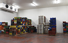 Makedonia Cold Storage S.A. - facilities