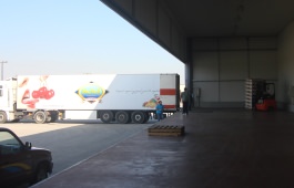 Makedonia Cold Storage S.A. - facilities